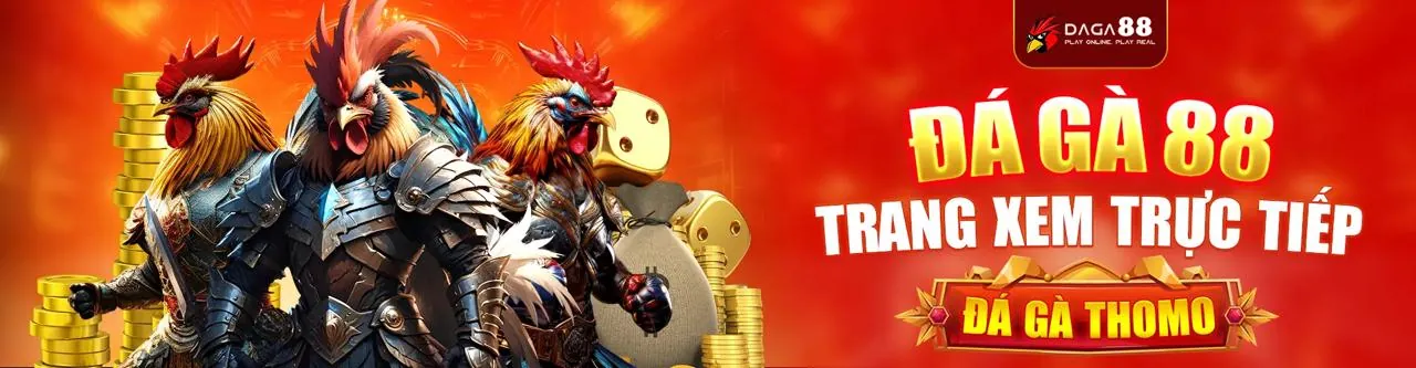 Sân đá gà chuyên nghiệp tại 68win1 chính thức